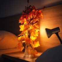 Hotel Queen's Panorama